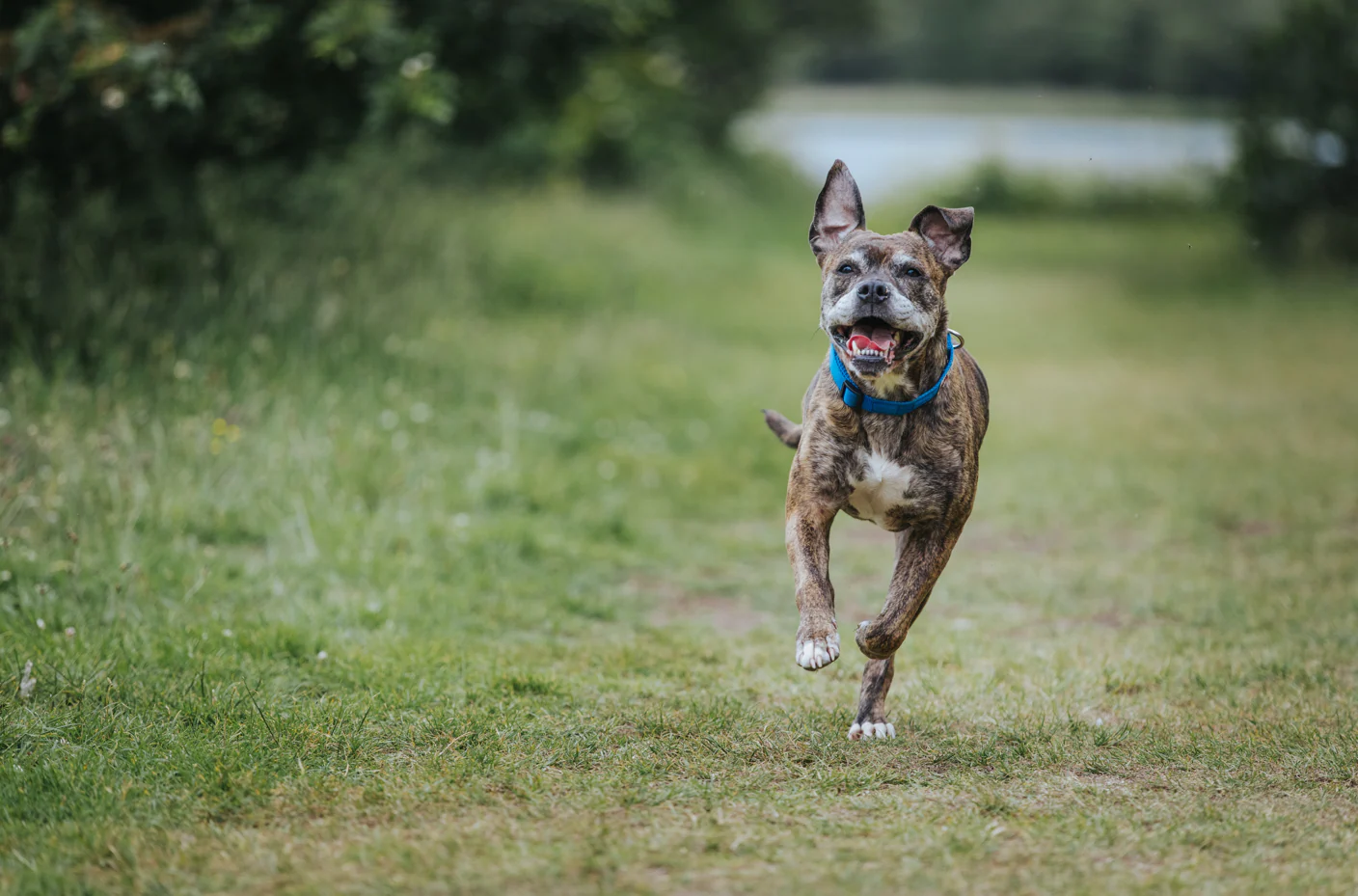 Welcome to Our Store