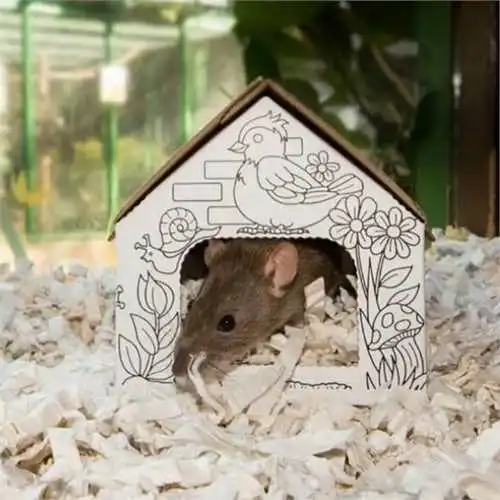 Animal House Kit - Small - Image 3