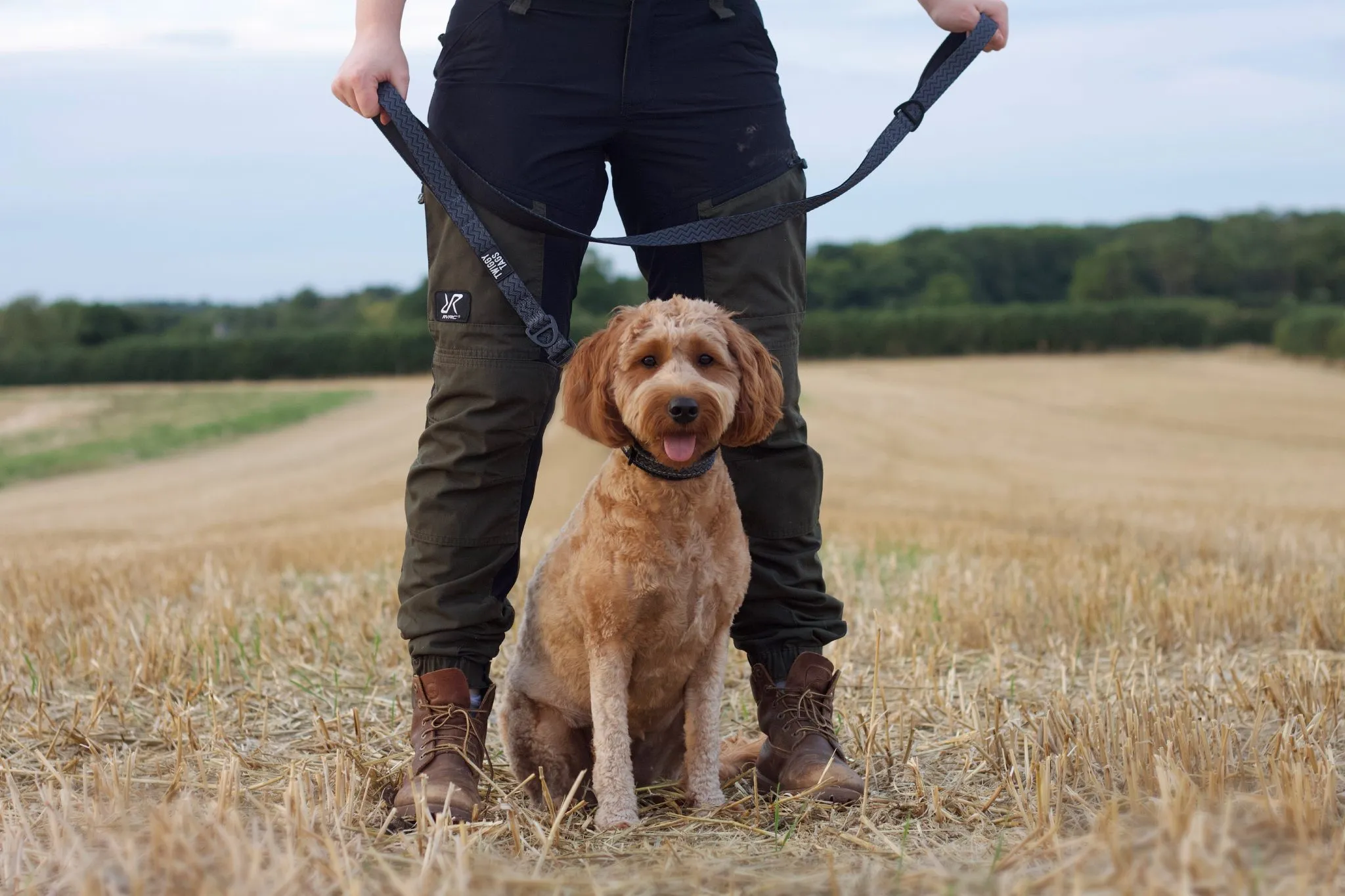 Twiggy Tags Petrichor Adventure Lead - Image 3