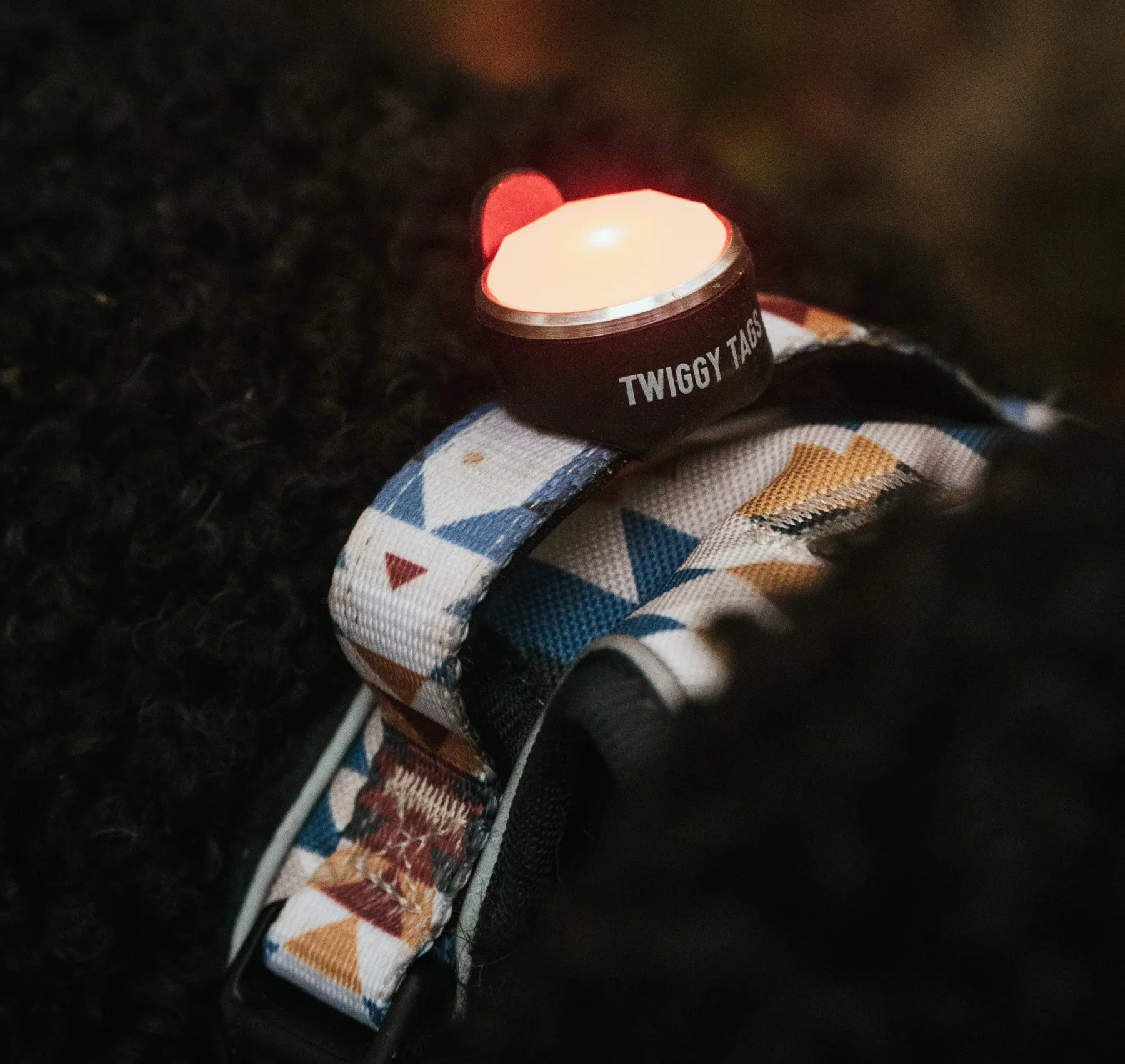 Twiggy Tags TrailFinder Dog Safety Light - Image 3