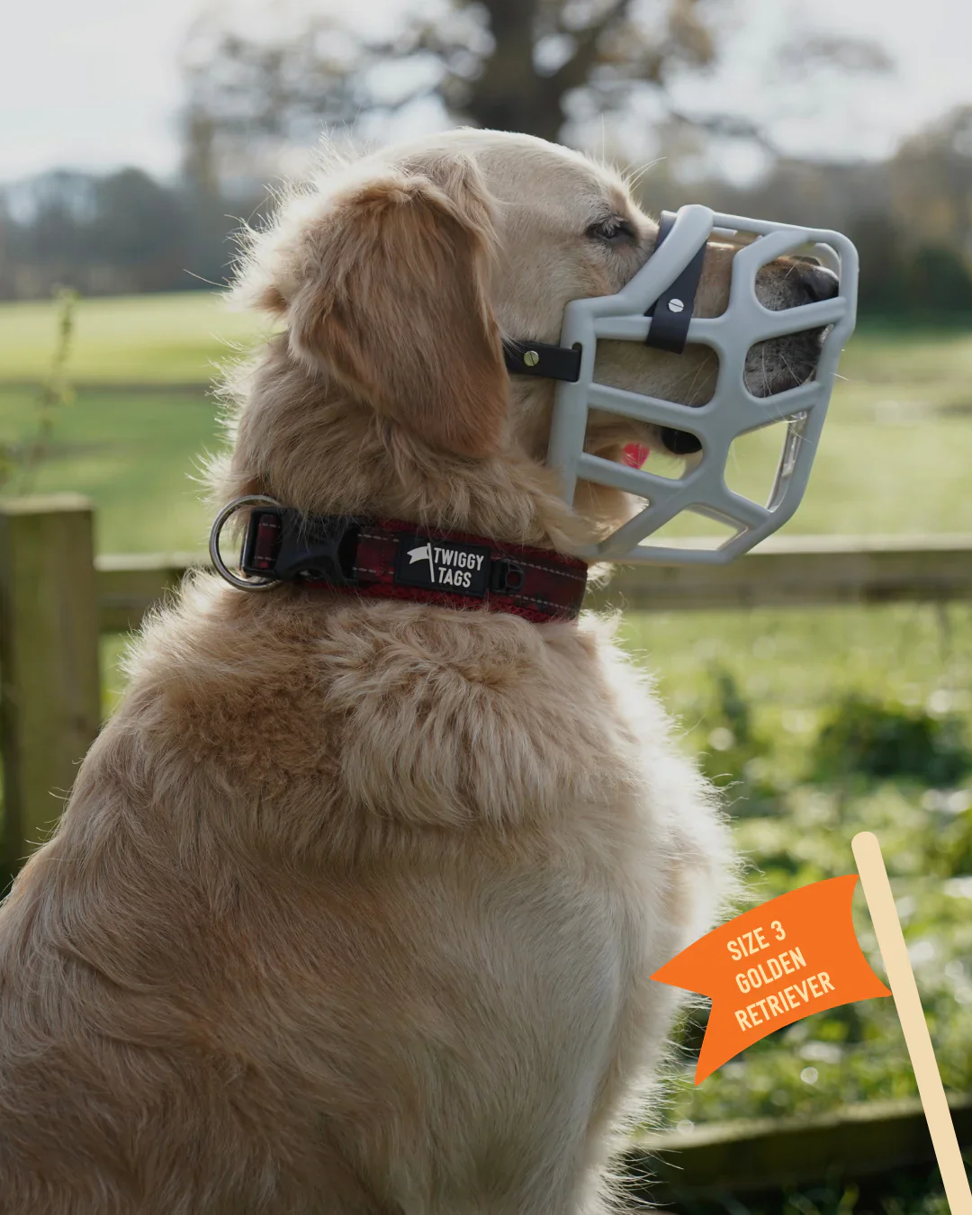 Twiggy Tags Collar Alpen Glow - Image 4