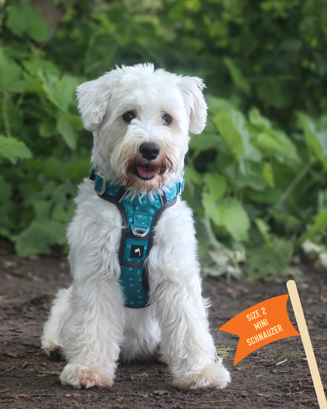 Twiggy Tags Harness Tranquil - Image 3